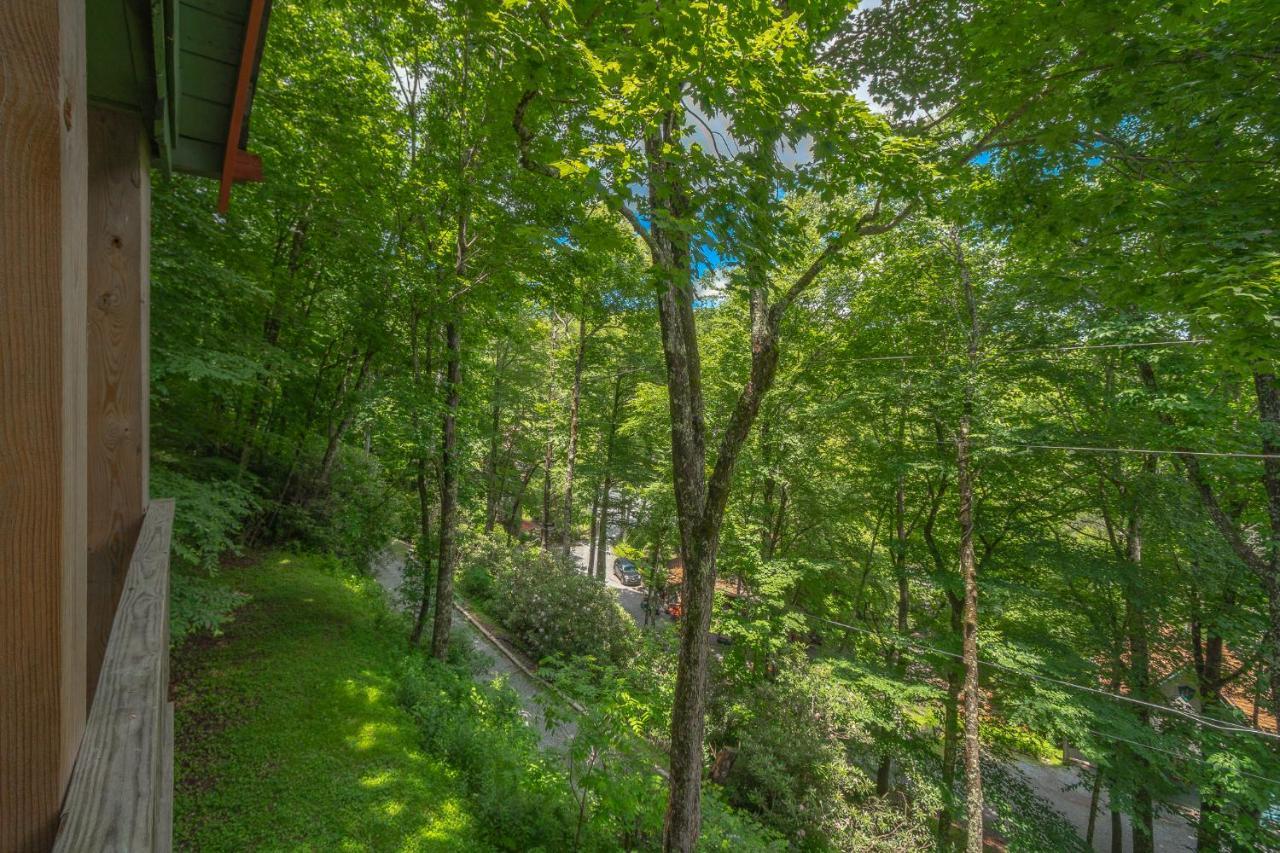 Swiss Mountain Village Blowing Rock Bagian luar foto