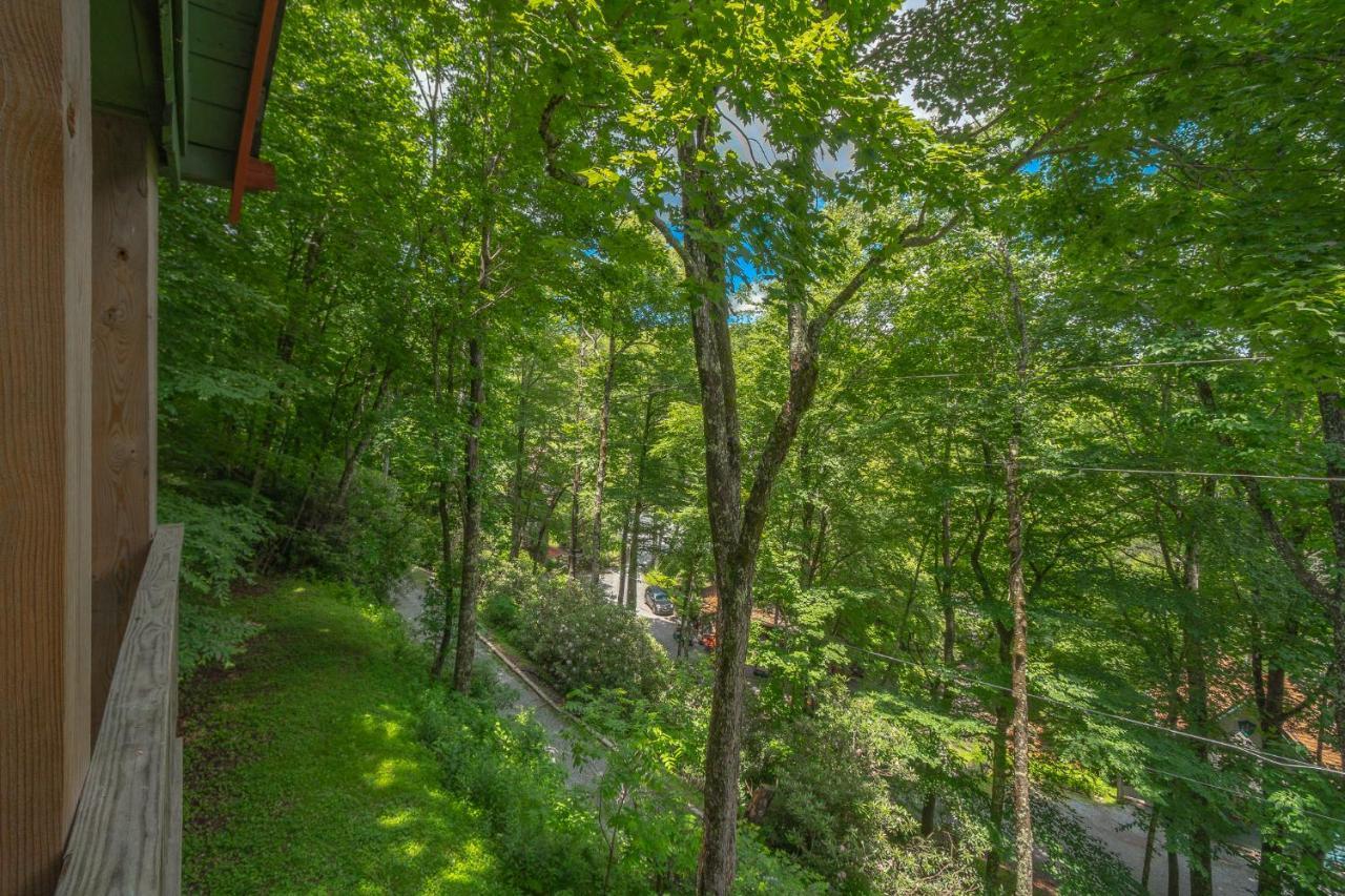 Swiss Mountain Village Blowing Rock Bagian luar foto